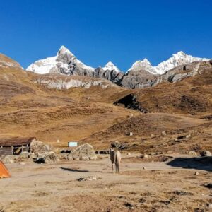 Travel Group Huayhuash - Picos Nevados 4