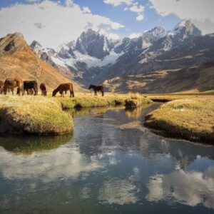 travel group huayhuash - huanuco marka 9