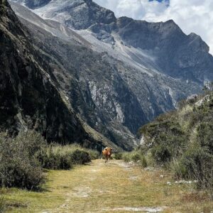 travel group huayhuash - laguna paron 12