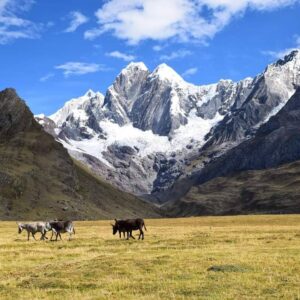 travel group huayhuash - queropalca 7