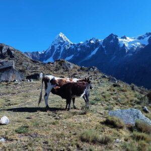 travel group huayhuash - santa cruz 18